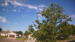 Web Cam Image - Sat, 06/06/2026 7:49am CDT