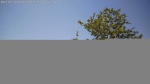 Web Cam Image - Sat, 06/06/2026 1:49pm CDT