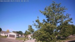Web Cam Image - Fri, 06/12/2026 7:58am CDT