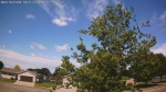 Web Cam Image - Sat, 06/13/2026 9:49am CDT