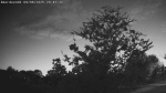 Web Cam Image - Sat, 09/06/2025 6:07pm CDT