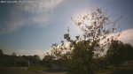 Web Cam Image - Thu, 05/21/2026 6:02pm CDT
