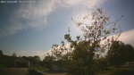 Web Cam Image - Thu, 05/21/2026 6:01pm CDT