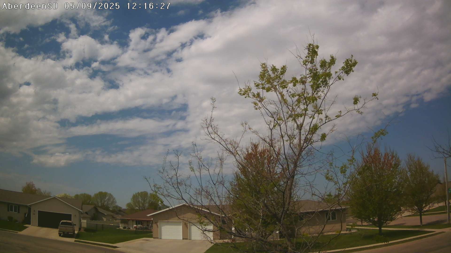 Web Cam History Image - 262
