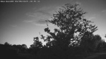 Web Cam Image - Sat, 09/06/2025 6:04pm CDT