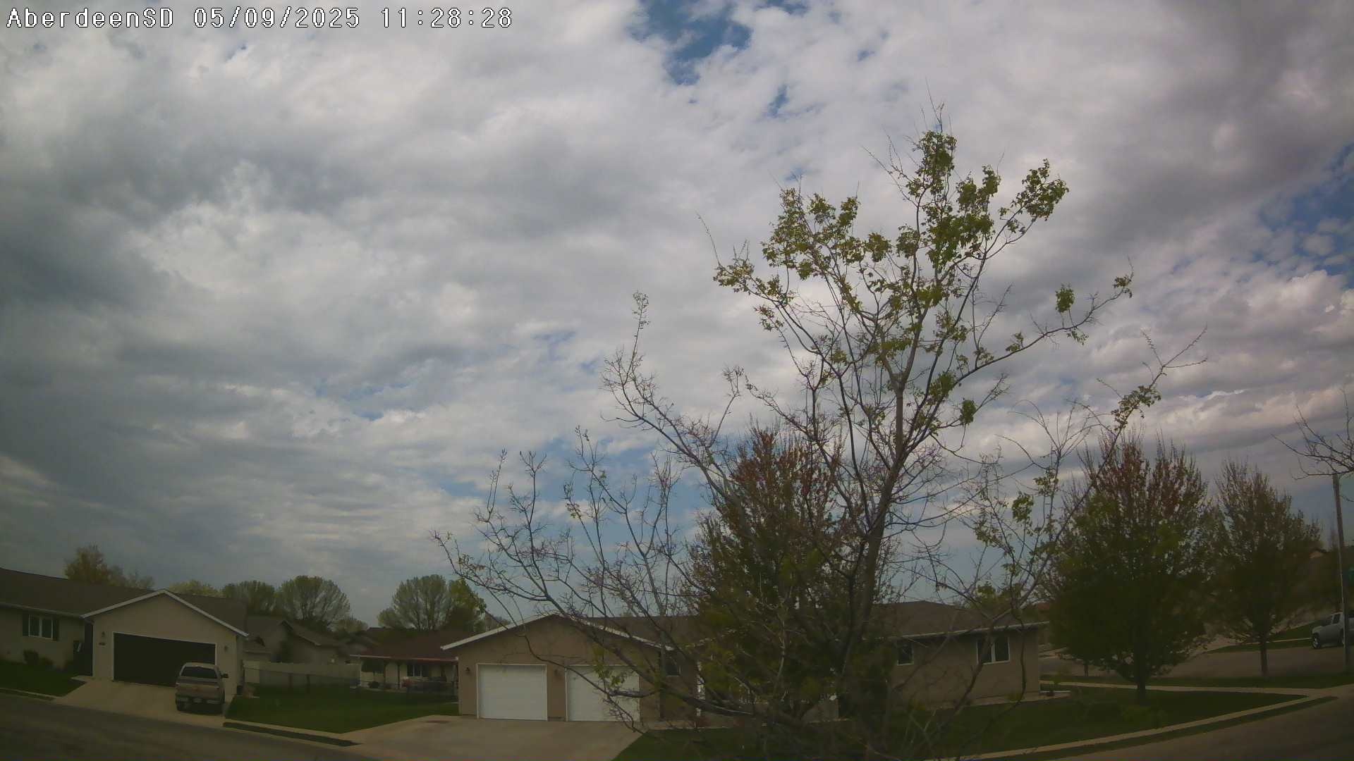 Web Cam History Image - 267