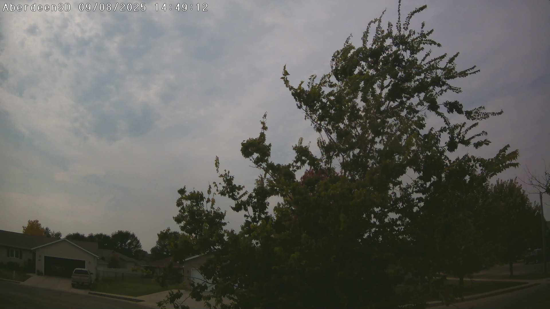 Web Cam History Image - 269