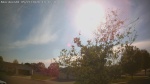 Web Cam Image - Thu, 05/21/2026 5:44pm CDT