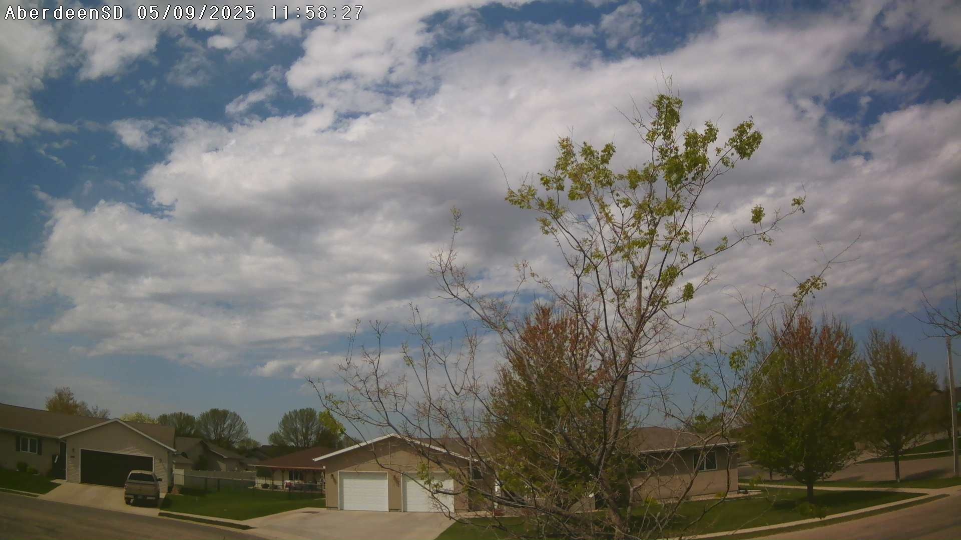 Web Cam History Image - 270