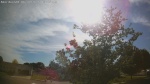 Web Cam Image - Mon, 06/01/2026 5:29pm CDT