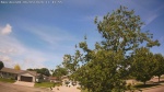 Web Cam Image - Wed, 06/03/2026 11:07am CDT