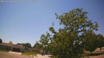 Web Cam Image - Sat, 06/06/2026 1:46pm CDT