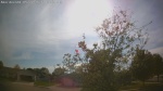 Web Cam Image - Thu, 05/21/2026 5:26pm CDT