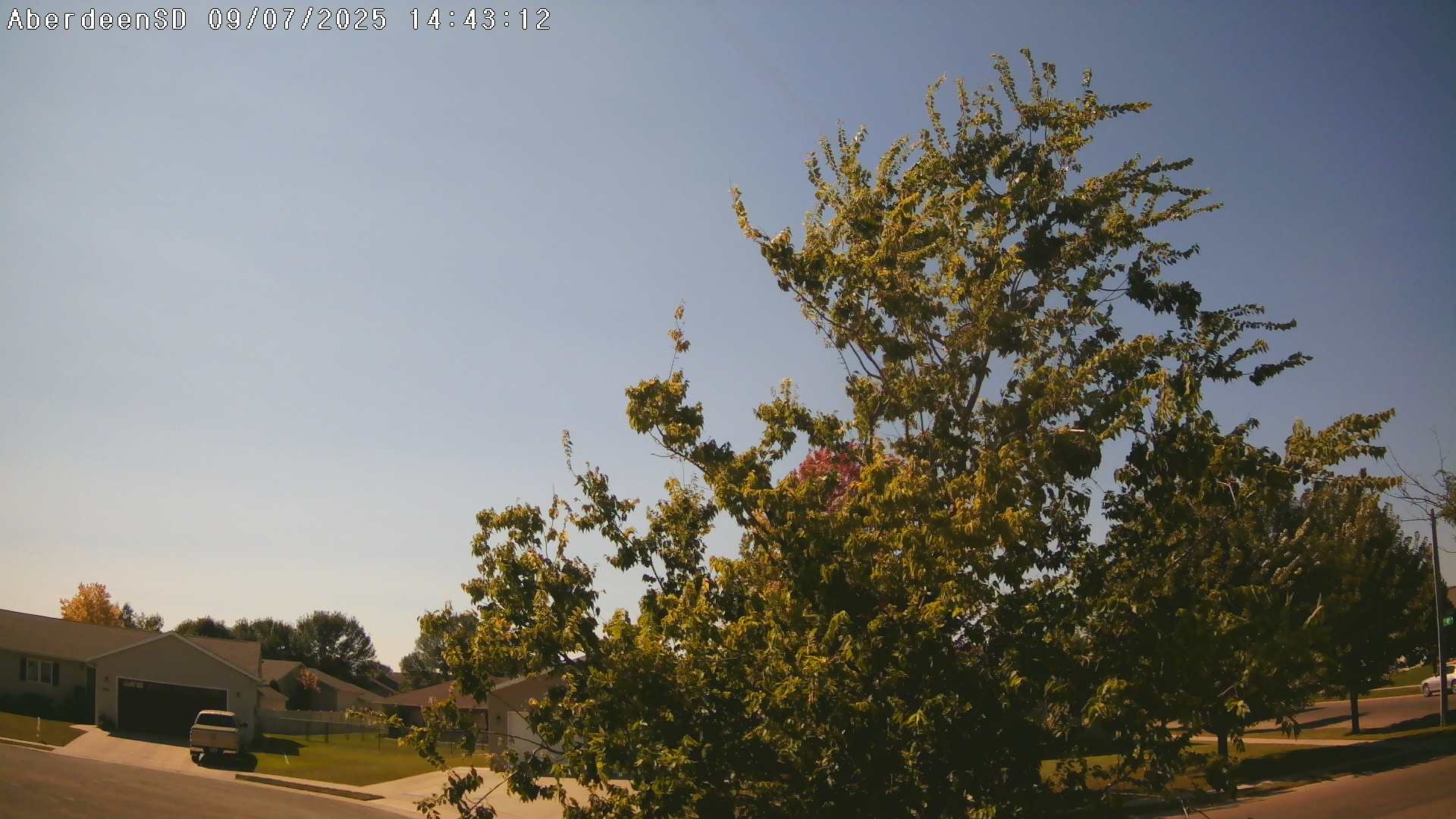 Web Cam History Image - 279
