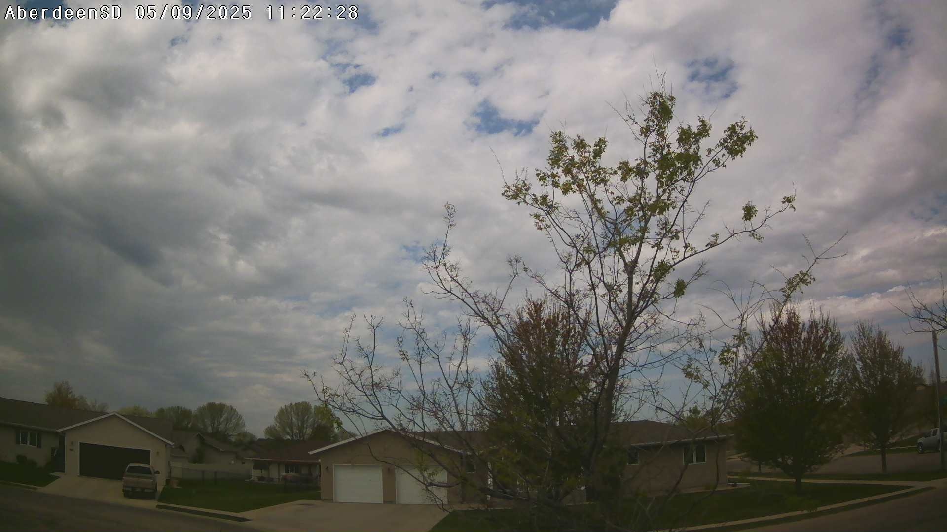 Web Cam History Image - 280
