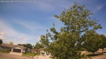Web Cam Image - Wed, 06/03/2026 11:05am CDT