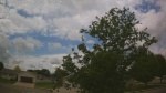 Web Cam Image - Thu, 06/04/2026 11:47am CDT