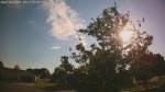 Web Cam Image - Mon, 06/15/2026 4:43pm CDT