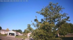 Web Cam Image - Wed, 06/24/2026 6:17am CDT