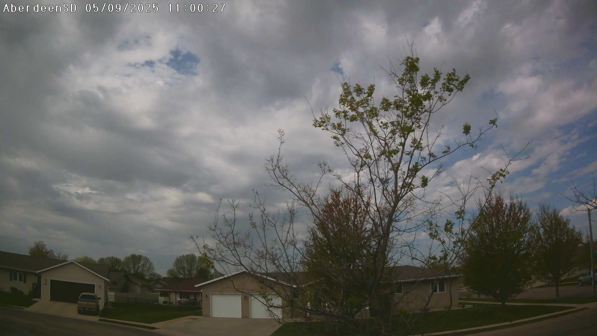 Web Cam History Image - 282