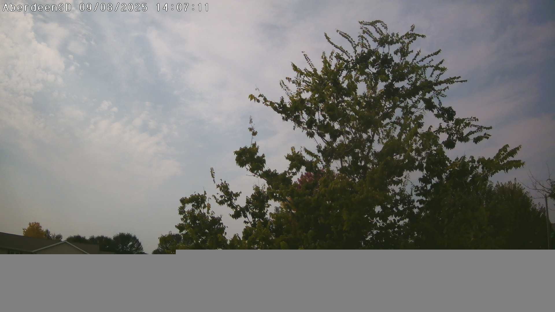 Web Cam History Image - 284