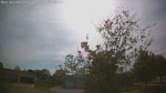 Web Cam Image - Thu, 05/21/2026 5:13pm CDT