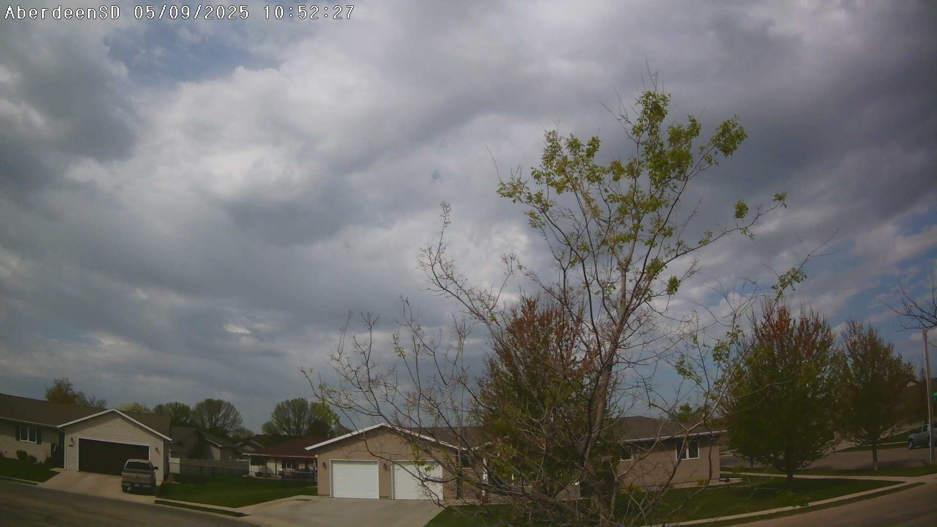 Web Cam History Image - 286