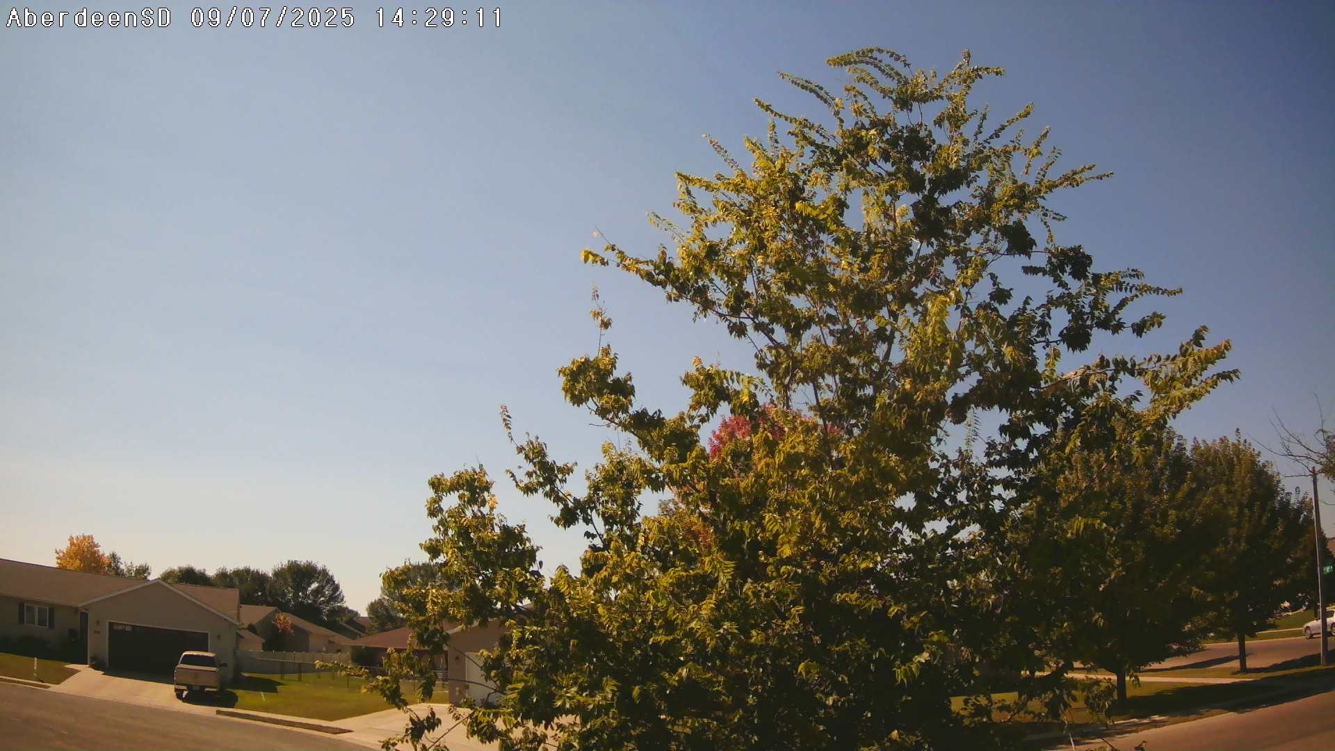 Web Cam History Image - 286