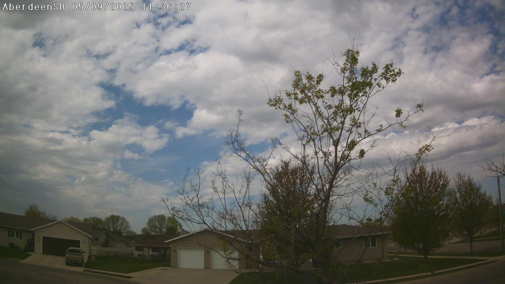 Web Cam History Image - 288