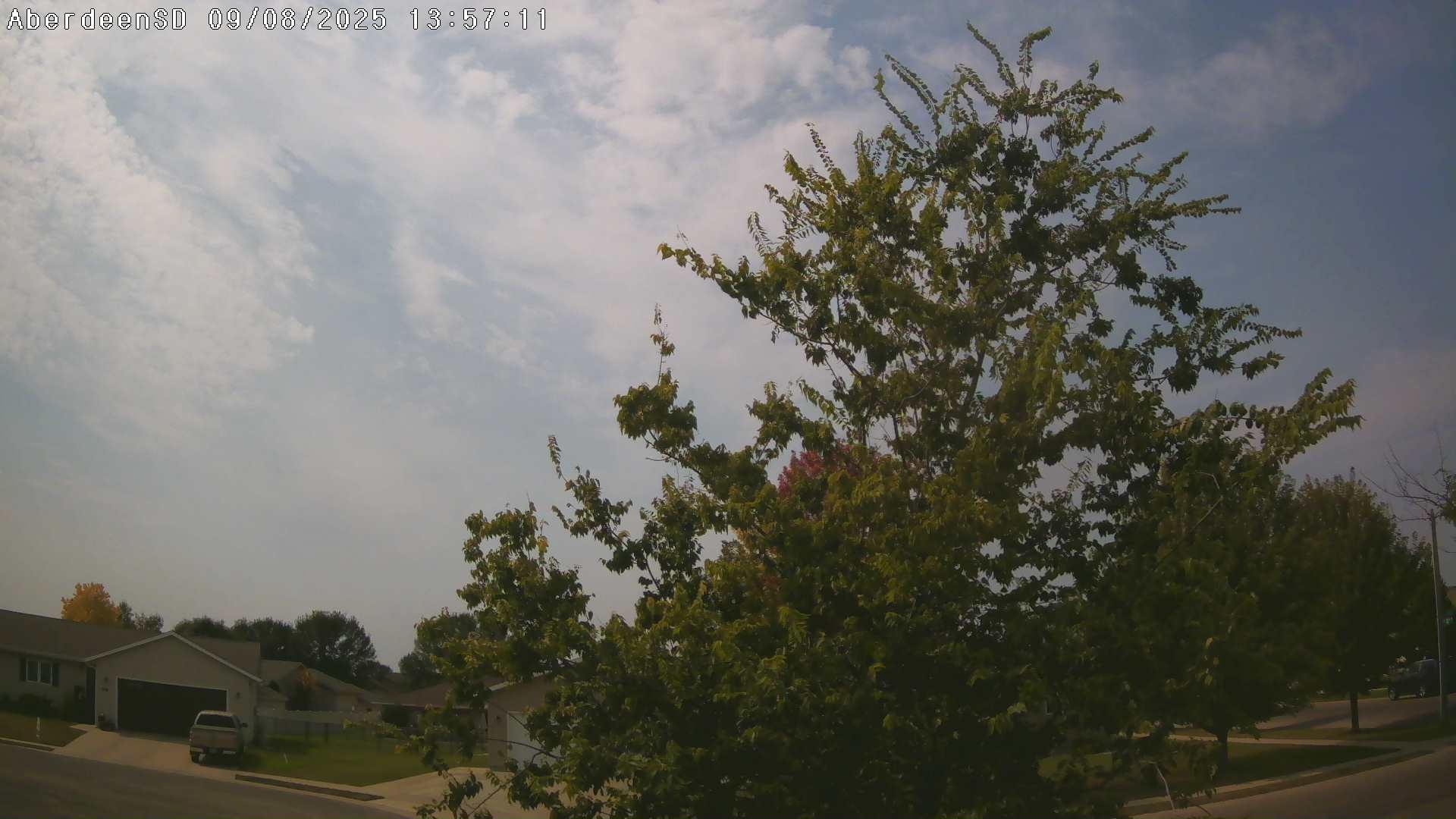 Web Cam History Image - 288