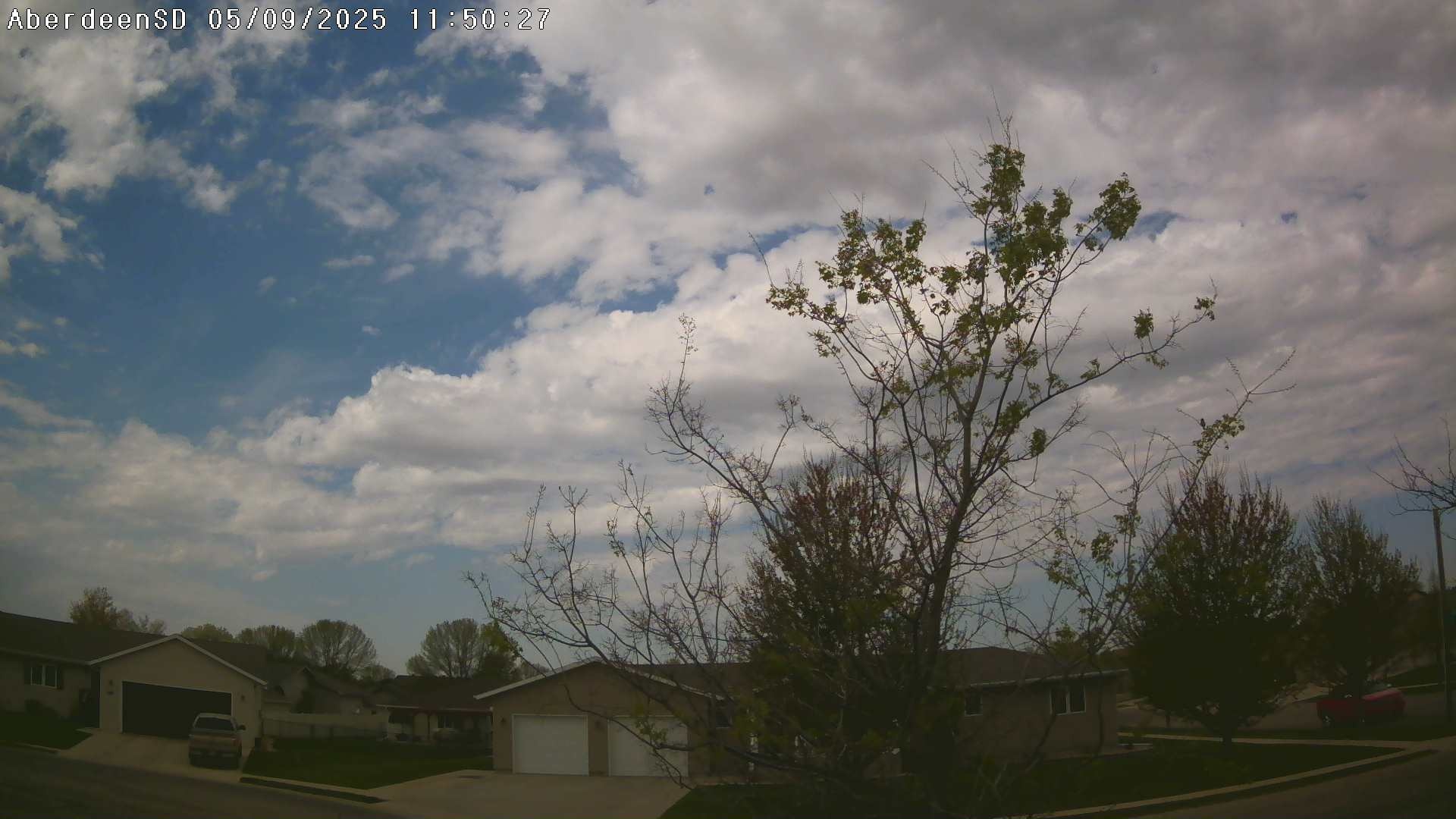 Web Cam History Image - 289