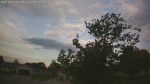 Web Cam Image - Sun, 05/31/2026 6:01am CDT