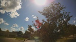 Web Cam Image - Wed, 06/10/2026 4:07pm CDT