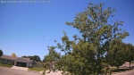 Web Cam Image - Sun, 06/14/2026 12:04pm CDT