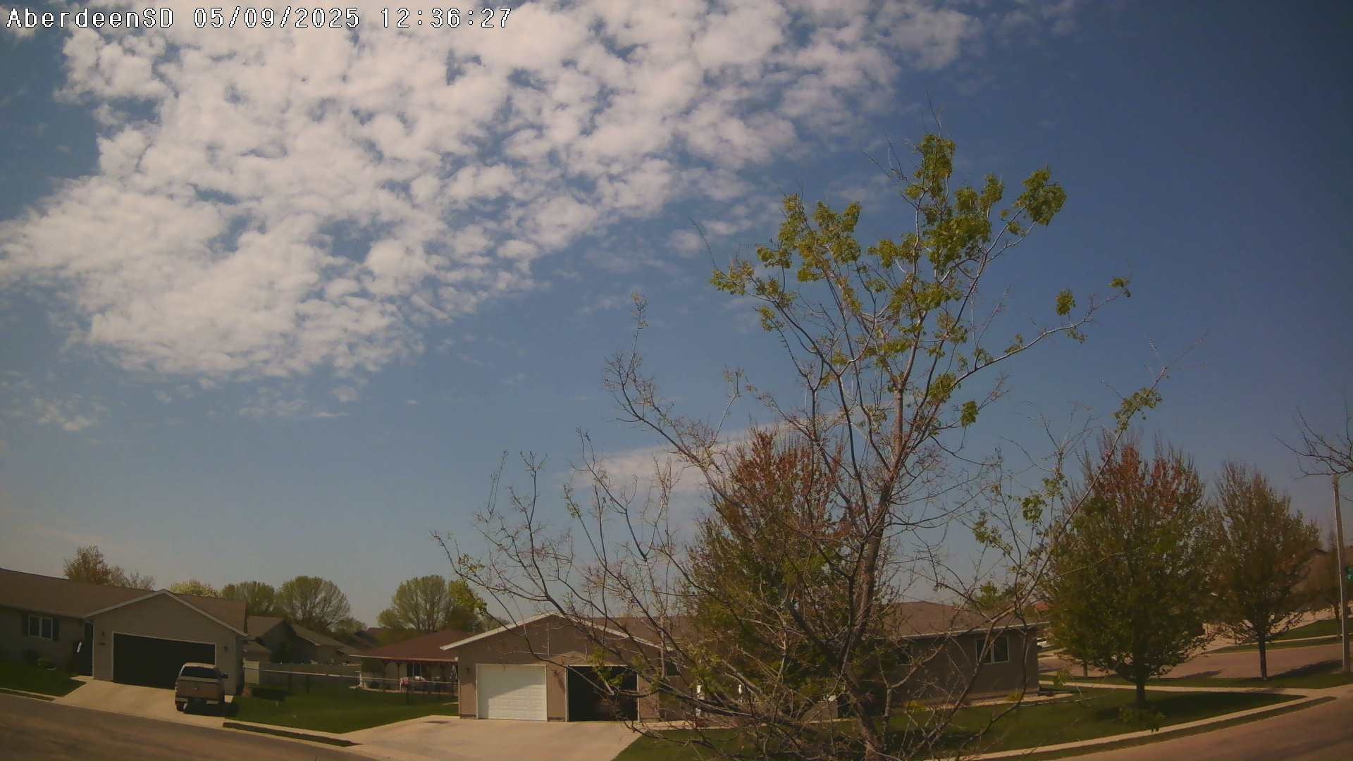 Web Cam History Image - 291