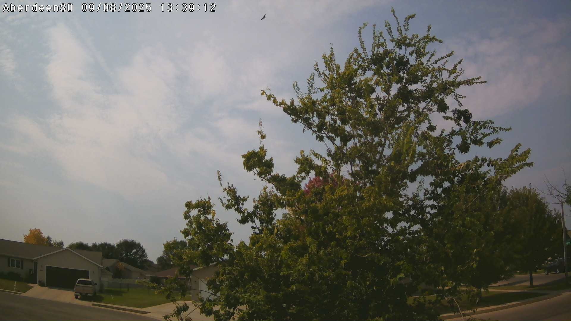 Web Cam History Image - 292