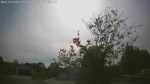 Web Cam Image - Thu, 05/21/2026 4:58pm CDT