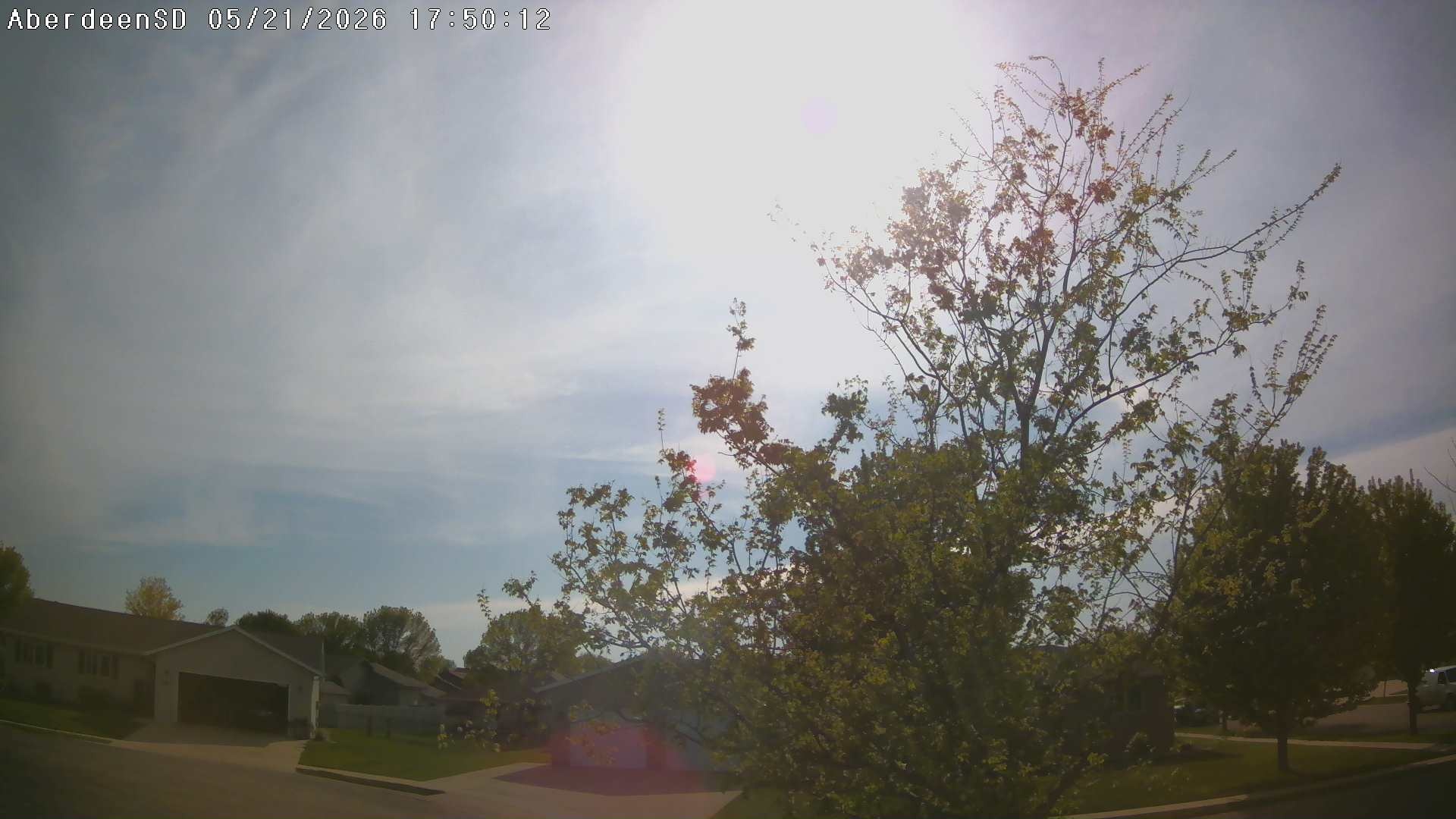 Web Cam History Image - 293