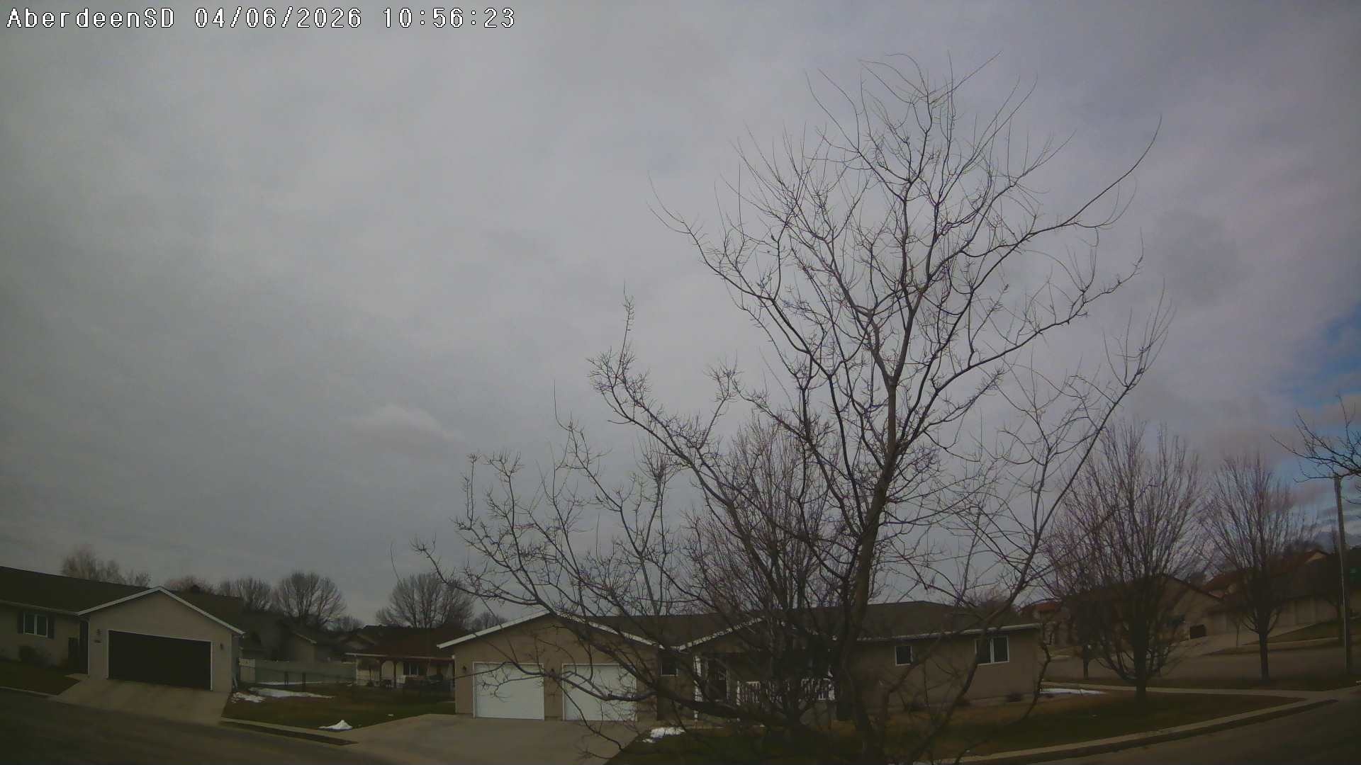 Web Cam History Image - 295