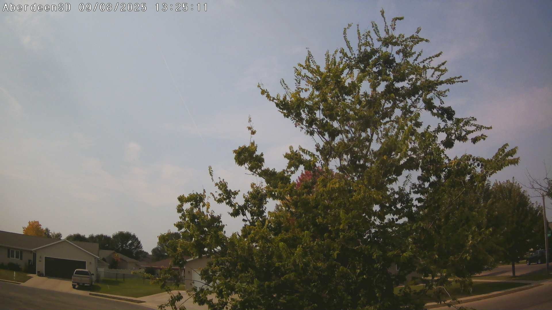 Web Cam History Image - 296