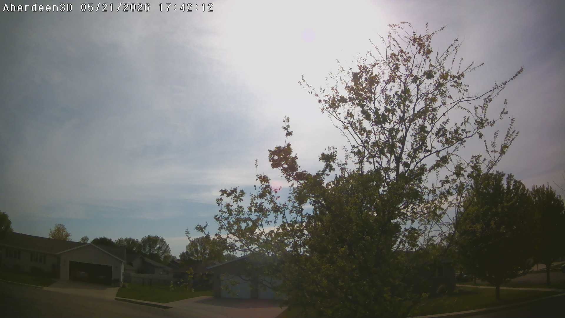 Web Cam History Image - 298