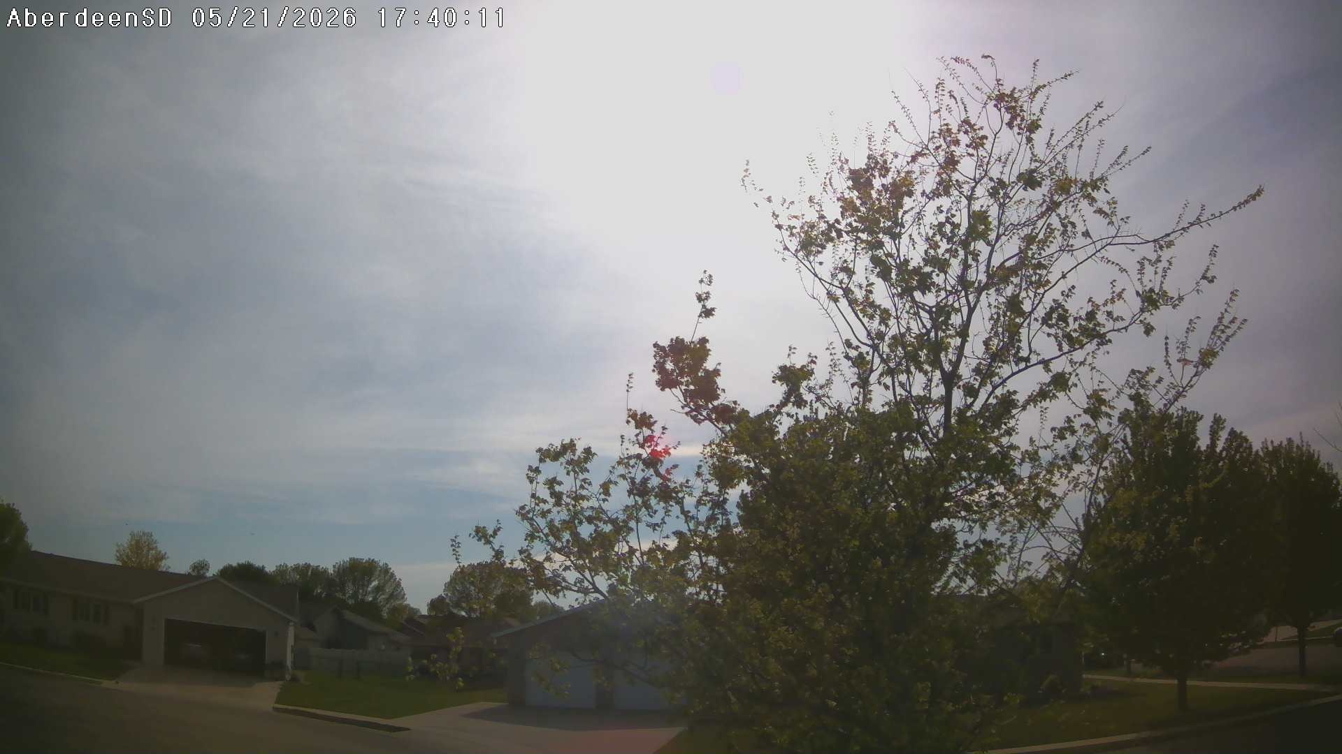 Web Cam History Image - 299