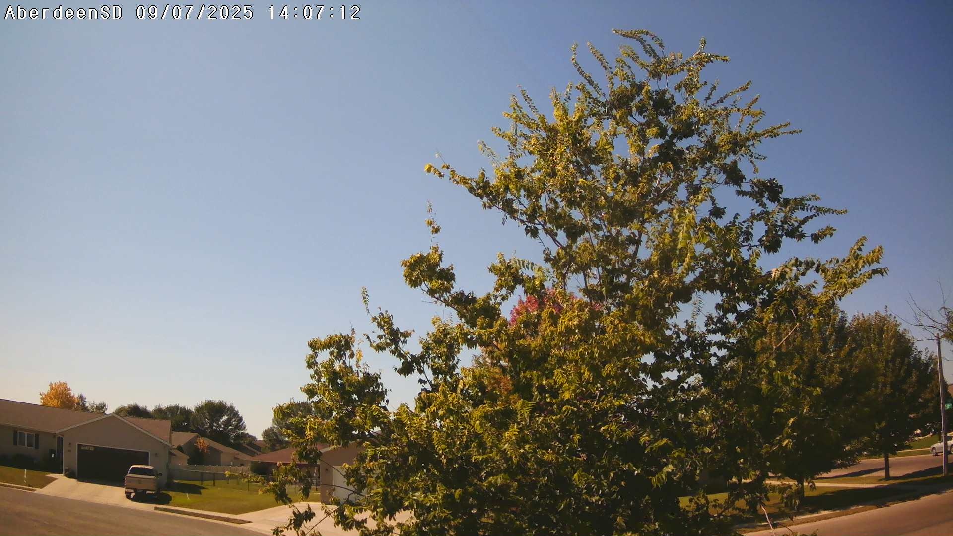 Web Cam History Image - 300