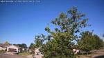 Web Cam Image - Tue, 07/01/2025 2:19am CDT