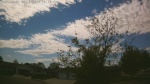 Web Cam Image - Fri, 05/15/2026 2:41pm CDT