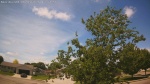 Web Cam Image - Wed, 06/03/2026 11:55am CDT