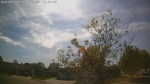 Web Cam Image - Sat, 05/16/2026 4:07pm CDT