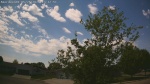 Web Cam Image - Tue, 05/26/2026 12:34pm CDT
