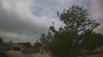 Web Cam Image - Sun, 05/31/2026 12:31pm CDT