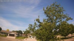 Web Cam Image - Wed, 06/03/2026 11:01am CDT